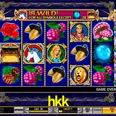 hkk Rio de Janeiro - Bonus Terms